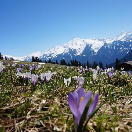 Heim Ramsau im Zillertal